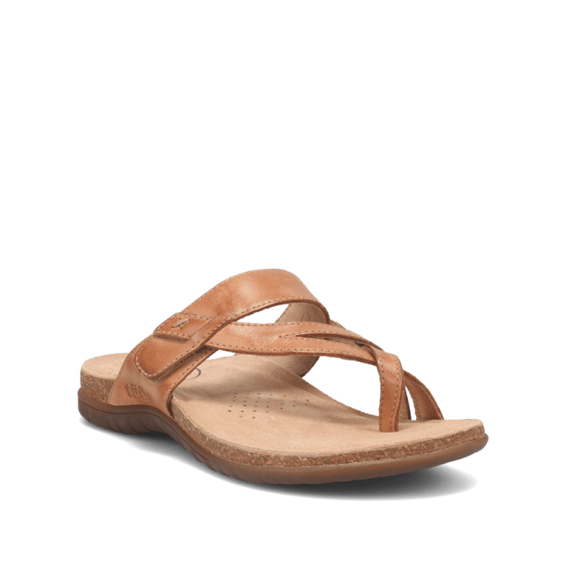 Hero image of Taos Footwear Perfect Tan Size 6